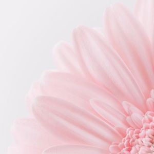 Meet your Posher, Katerina